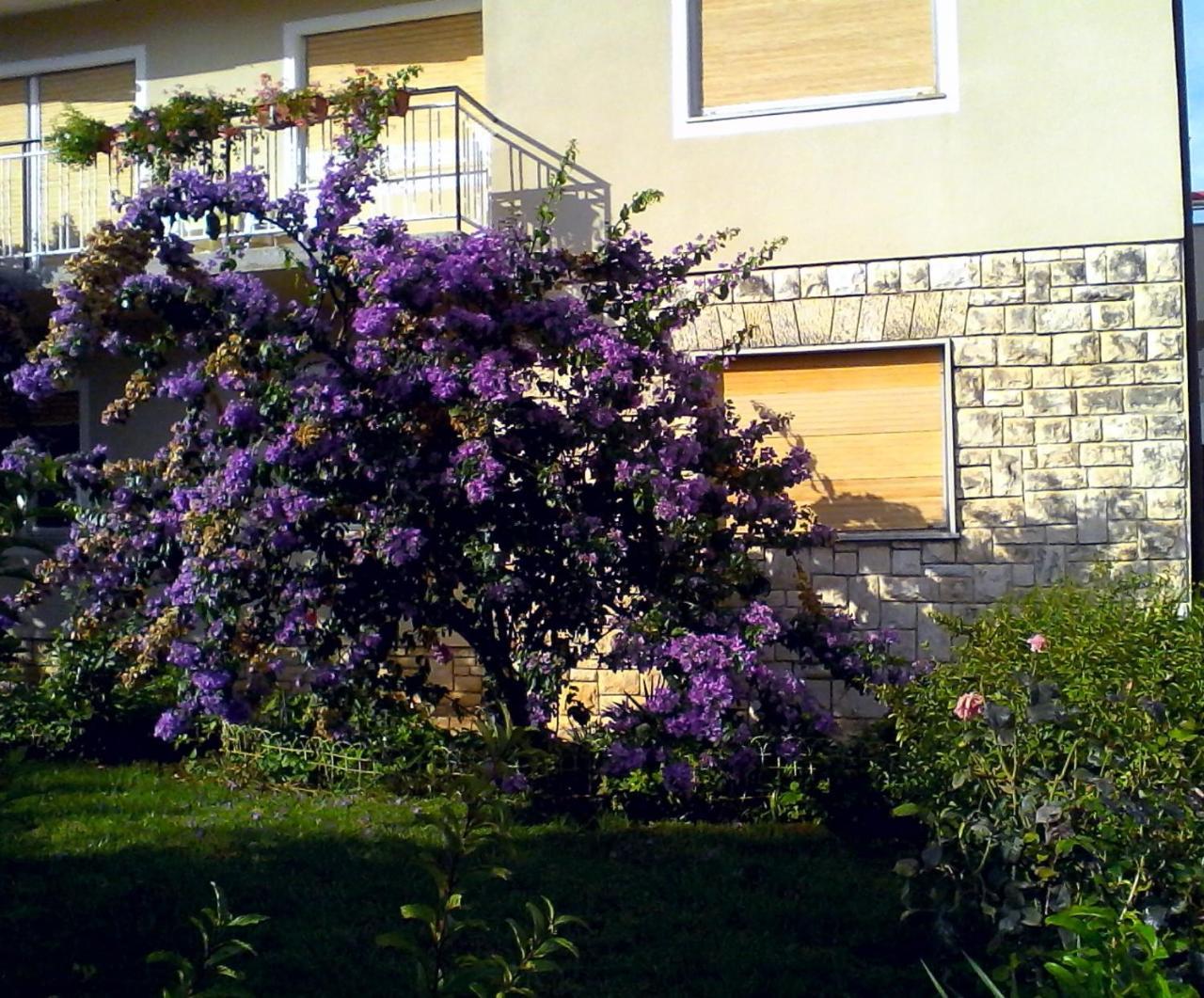Sweet Apartment In Pomer Exterior photo